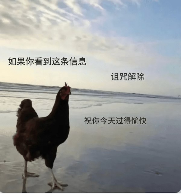 鸡