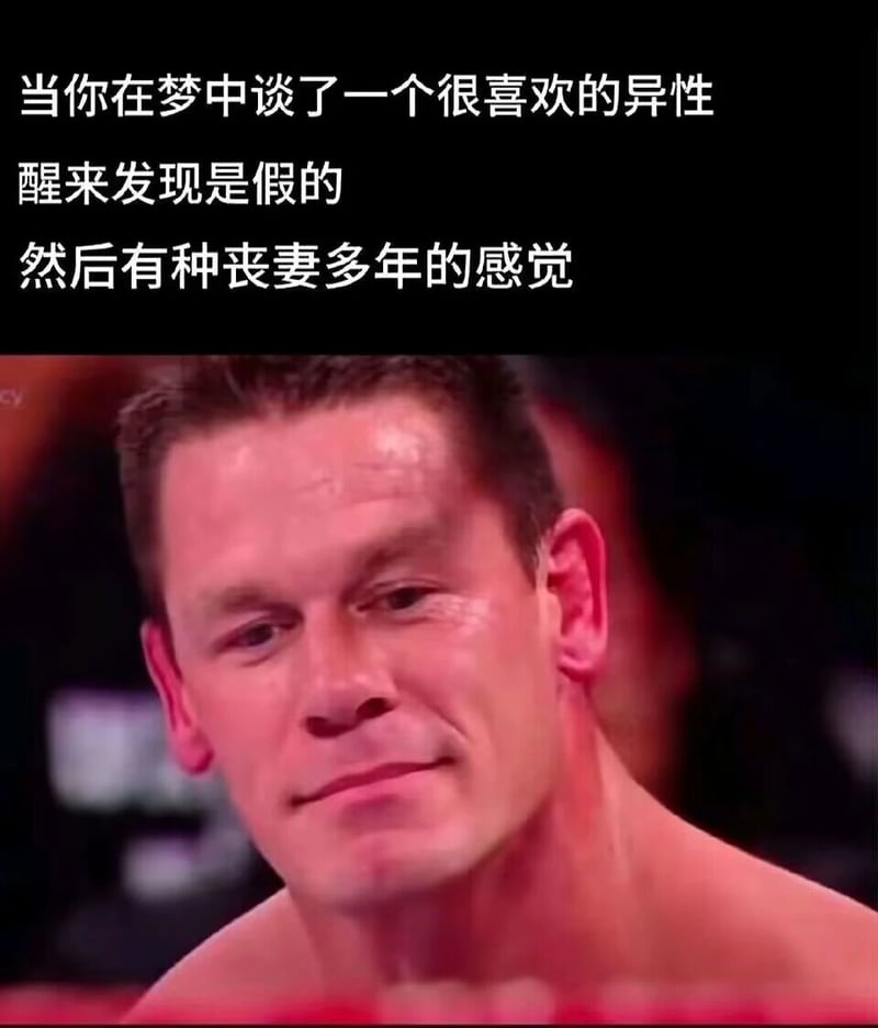 WWE职业摔跤手、演员