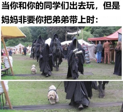 图片上方配有文字“当你和你的同学们出去玩，但是妈妈非要你把弟弟带上时：”，下方是两张场景图。第一张图中，一群身着黑色连帽长袍、手持武器的人骑着马在草地集市中行走，队伍旁有一只被牵着的白色小狗；第二张图为小狗的特写，它被黑袍人牵着走在队伍中。整体通过黑袍人营造的严肃、霸气氛围与小狗的可爱、弱小形成强烈反差，幽默地表现了被迫带弟弟出门时的无奈心情。