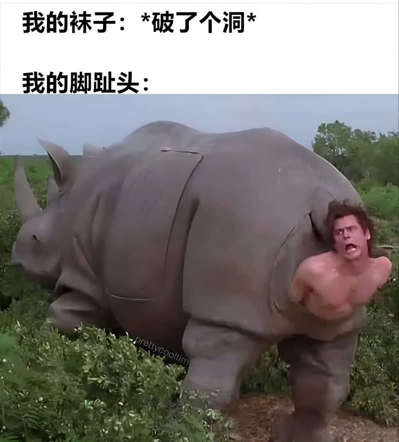 神探飞机头2