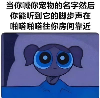 图片上方为黑色文字，内容是“当你喊你宠物的名字然后你能听到它的脚步声在啪嗒啪嗒往你房间靠近”，下方是一个卡通女孩形象。女孩有着双马尾发型，超大的蓝色眼睛，面部带着浅浅的微笑，手托着下巴，似乎正期待地望向某个方向，身上裹着蓝色的毯子，背景为淡紫色，整体营造出温馨期待的氛围，生动表现了宠物主人听到宠物靠近时的喜悦心情。
