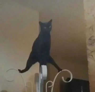 这是一张充满趣味的视觉错位抓拍照片，画面中的黑猫原本以正常姿态待在栏杆附近，但由于拍摄角度与背景墙角的重合，让黑猫的身体和墙角阴影结合，看起来像是以双腿大张、跨坐在白色栏杆上的滑稽姿势出现。黑猫眼神严肃，和它看起来的奇葩姿势形成强烈反差，让整个画面充满搞笑感，是偶然捕捉到的趣味宠物瞬间。