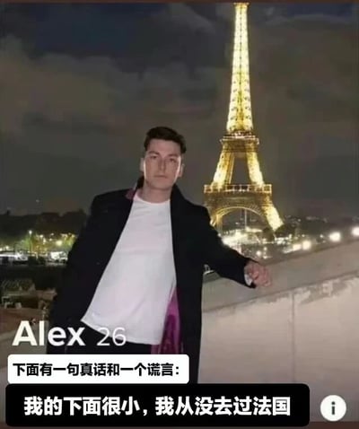 图片中一名男子（标注为Alex 26）站在夜晚亮灯的埃菲尔铁塔前，背景为巴黎夜景。图片下方配有文字：“下面有一句真话和一个谎言：我下面很小，我从没去过法国”。
双关说明：“下面很小”同时指向身体部位和地理位置（法国在地图上的位置），利用文字歧义制造幽默效果。