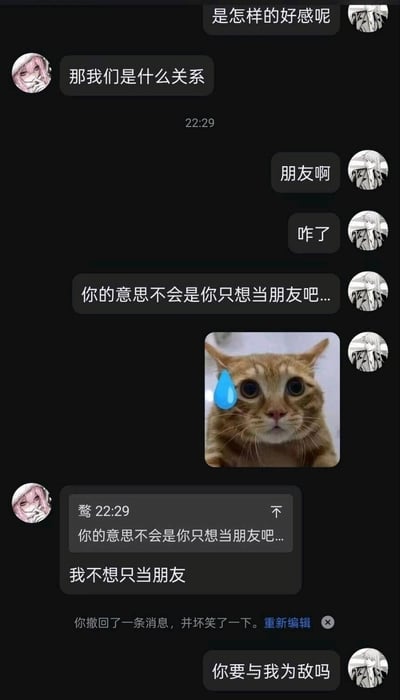这是一张聊天记录截图梗图，展示了一段充满反转的情感对话。用户A询问双方关系，用户B起初回答“朋友啊”，用户A发送流泪猫表情包并质疑“你的意思不会是你只想当朋友吧...”，随后撤回消息并发送“我不想只当朋友”，最后用户B调侃“你要与我为敌吗”。整体氛围幽默，通过撤回消息和表情包制造戏剧效果。