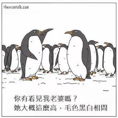 一群外形几乎完全一致的卡通企鹅站在雪地上，其中一只企鹅向同伴询问，配文为“你有看見我老婆嗎？她大概這麼高，毛色黑白相間”。
笑点解析：所有企鹅的外形都是黑白相间、身高相近，这个描述完全不具备辨识度，相当于没有提供任何有效信息，这种自嘲式的反差制造出滑稽的搞笑效果。
对图中问题的回答：无法通过这个描述找到他的老婆，因为在场的所有企鹅都符合这个特征。