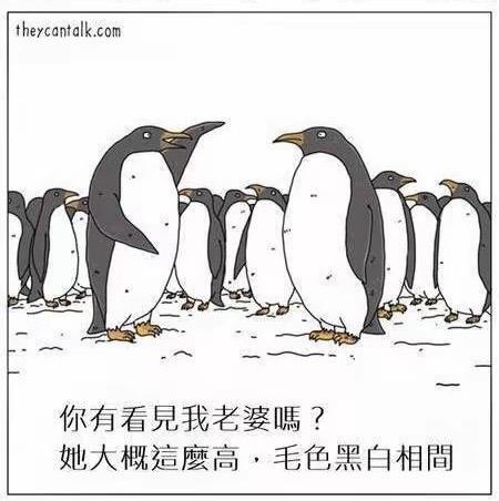 theycantalk.com 原创漫画