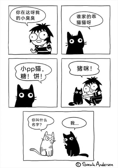 暂无描述