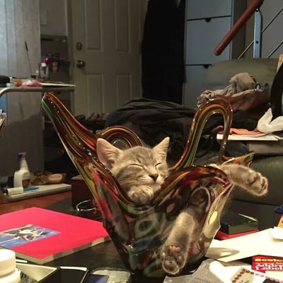 一只灰色的小奶猫蜷缩在一个色彩斑斓的玻璃花瓶中熟睡，眼睛紧闭，四肢放松地伸展着，显得格外惬意。花瓶造型独特，带有弯曲的流线和彩色纹路，完美容纳了小猫的身体。背景是略显杂乱的居家环境，有沙发、衣物、红色笔记本和其他生活用品，营造出温馨自然的氛围。