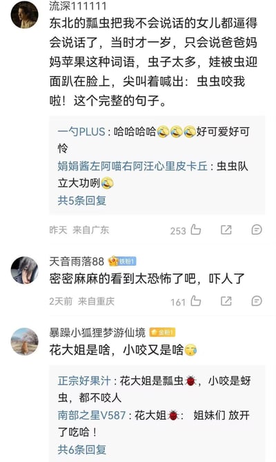 图片为社交媒体评论截图，内容讲述东北瓢虫数量众多，一只一岁大、原本只会说简单词语的宝宝被瓢虫爬脸后，受惊吓尖叫出完整句子“虫虫咬我啦！”。下方有网友评论：“一勺PLUS”笑称宝宝可爱又可怜，“娟娟酱左阿喵右阿汪心里皮卡丘”调侃“虫虫队立大功”，“天音雨落88”表示密集虫子看起来恐怖，“暴躁小狐狸梦游仙境”询问“花大姐”和“小咬”是什么，另有评论解释“花大姐是瓢虫，小咬是蚜虫，都不咬人”。