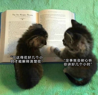 这是一张充满治愈感的萌宠梗图，画面背景是绿色的柔软平面，摊开着一本名为《The Six Hungry Beasts》的英文书籍，两只毛色相近的小奶猫坐在书前。左侧小猫低头看向书页，配文“可这得花好几个小时才能解释清楚哎”，仿佛在为即将开始的漫长讲解感到发愁；右侧小猫则抬起一只爪子轻放在书页上，专注地看向左侧小猫，配文“没事我会耐心听你讲好几个小时”，传递出无条件的耐心与陪伴。图中的拟人化对话将小猫赋予人类的情感，生动展现了亲密关系中愿意倾听与陪伴的暖心状态，让观者感受到温柔的治愈感。