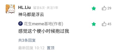这是一张社交媒体评论区的置顶截图，用户HL.Liu留言了早年经典网络热梗“神马都是浮云”，该评论获得29个赞；内容创作者“花生meme基地”回复了一句充满趣味的玩梗内容“感觉这个梗小时候抱过我”，获得45个赞，这条互动被设置为置顶，显示最新回复时间为10:12，还有共3条回复的提示。作者的回复用拟人化的夸张手法，调侃“神马都是浮云”这个梗的年代感极强，仿佛是很早之前就存在的“老古董”，这种玩梗方式容易引发网友对老梗的共鸣。