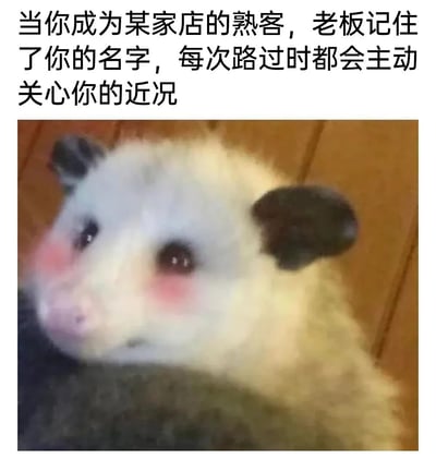 图片上方配有文字“当你成为某家店的熟客，老板记住了你的名字，每次路过时都会主动关心你的近况”，下方是一只毛发蓬松的卡通小动物，有着白色和黑色相间的毛发，脸颊呈现可爱的粉色，眼神温柔地抬头注视，整体营造出一种被熟人关心时的温馨害羞氛围。