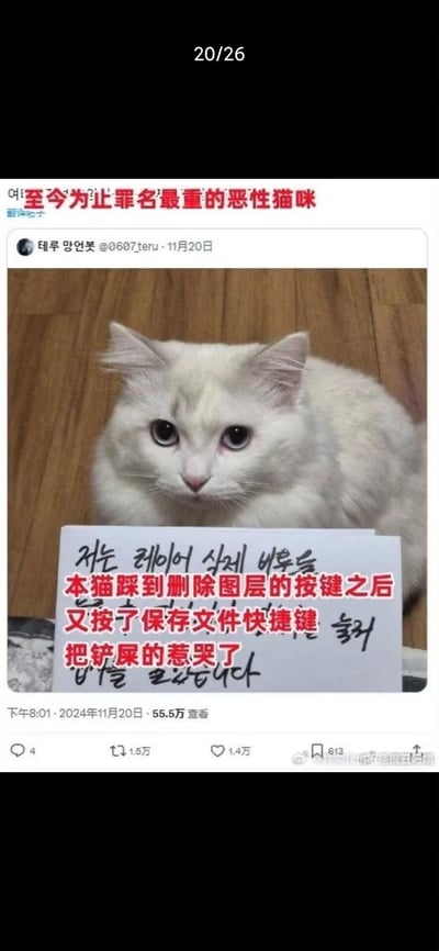 这是一张引发创作者共鸣的宠物梗图，一只表情委屈的白色猫咪趴在木质地板上，面前摆着一块手写的认错牌，上方配文“至今为止罪名最重的恶性猫咪”，牌子上的中文翻译内容为“本猫踩到删除图层的按键之后又按了保存文件快捷键，把铲屎的惹哭了”，用猫咪意外闯祸的场景调侃设计师、创作者最害怕的操作失误，内容搞笑又戳中从业者痛点。
无谐音梗、双关或暗示内容。