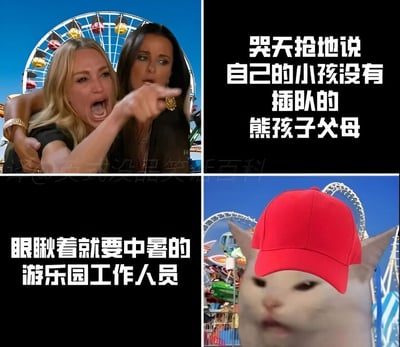 四格拼接图，左上为游乐园摩天轮背景下，一名金发女子激动地手指前方，身旁黑衣女子表情复杂；右上黑底白字写着'哭天抢地说自己的小孩没有插队的熊孩子父母'；左下黑底白字写着'眼瞅着就要中暑的游乐园工作人员'；右下为戴着红色帽子的猫，背景同样是摩天轮，整体讽刺了熊孩子父母蛮不讲理与工作人员无奈的场景。