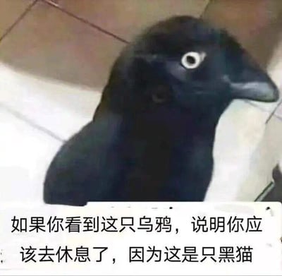 这是一张利用视觉错觉制作的趣味梗图，画面主体是一只趴在瓷砖地面上的黑猫，由于拍摄角度的巧合，黑猫的侧脸轮廓和神态看起来与乌鸦高度相似。图片底部配有文字：“如果你看到这只乌鸦，说明你应该去休息了，因为这是只黑猫”，通过这种视觉误差的效果，幽默地调侃人在视觉疲劳、用眼过度时会出现看错事物的情况，以此来提醒人们需要休息，内容轻松有趣，容易引发熬夜、加班等用眼过度人群的共鸣。
