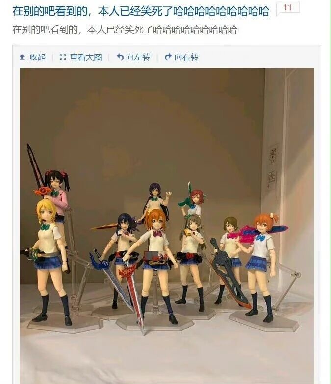 南小鸟