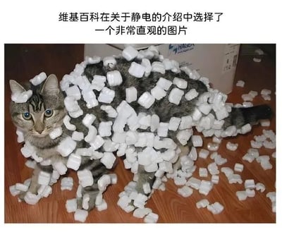 图片上方配有文字“维基百科在关于静电的介绍中选择了一个非常直观的图片”，下方是一只灰色虎斑猫，蓝色眼睛，全身被白色泡沫粒（packing peanuts）覆盖，站在木地板上。猫的毛发因静电吸附了大量泡沫粒，形成了极具喜感的视觉效果，直观展示了静电现象。