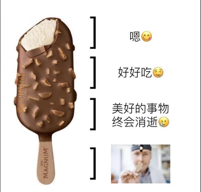 这是一张反差搞笑梗图，画面左侧展示一根被咬去一大口的梦龙脆皮坚果雪糕，右侧用四个带括号的分块对应内容，从上到下依次配文“嗯😊”、“好好吃😌”、“美好的事物终会消逝😔”，最下方分块放置了一张牙医手持吃完雪糕后剩下的空木棍的实拍小图。内容通过双层含义制造笑点：既指美味的雪糕吃完了，美好的品尝体验结束，也暗示因为过量吃甜食导致牙齿出问题，需要就医，牙齿健康也随之“消逝”，贴合生活经历引人发笑。