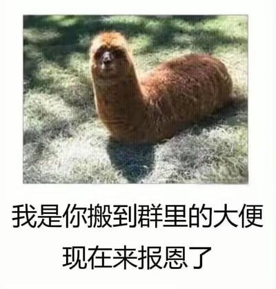 这是一张荒诞搞笑的网络梗图，上方是一张经过视觉错位或P图处理的图片：羊驼的身体搭配猴子的头部，从视觉效果上看酷似一坨大便；下方配有黑色文字“我是你搬到群里的大便 现在来报恩了”。图中利用视觉错觉和无厘头的配文制造笑点，调侃将无意义内容（如同“大便”）发到群聊后，反过来“报恩”的搞笑场景，整体风格戏谑荒诞，没有额外的暗示或隐喻，纯为制造搞笑效果。