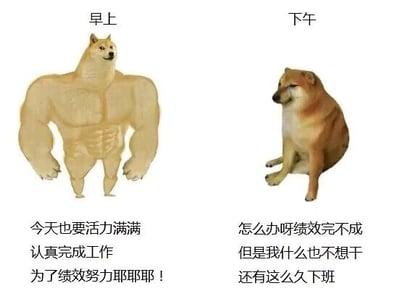 暂无描述