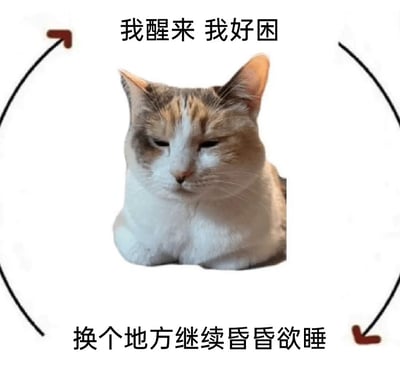 这是一张趣味表情包，主体是一只趴卧着的三花猫咪，它眼皮半耷拉，神态昏昏沉沉，满脸困倦。图片通过循环箭头搭配上下两行文字，构建出“醒来就困→换地方继续睡”的闭环逻辑，精准还原了很多人（或猫咪）醒来后依旧疲惫、只想继续昏睡的状态，用猫咪的慵懒模样生动传递出提不起精神、困倦难耐的情绪，非常适合在聊天中用来吐槽日常犯困、不想起身的感受。