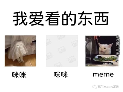 这是一张趣味总结类的图文混排meme图，顶部用大号字体标注“我爱看的东西”，下方分为三个展示板块：第一个板块是一只披着蕾丝布、扮成幽灵模样的白猫，下方标注“咪咪”；第二个板块为空白占位图，同样标注“咪咪”；第三个板块是一只从餐桌下方探出头、表情不满嫌弃的白猫，下方标注“meme”。整体用幽默的方式表达了创作者喜爱可爱猫咪相关内容与搞笑meme图的喜好，风格轻松诙谐。