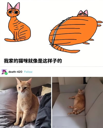 图片分为上下两部分，上半部分是两只卡通橘猫的对比，左边是正常体型坐姿的猫，耳朵竖起，表情平静；右边是被黑色线条缠绕成球形的肥胖猫咪，只露出头部和尾巴，形成幽默的视觉效果。下半部分是两张真实橘猫的照片对比，左边是正常体型的橘猫坐在床上，眼神警惕；右边是体型明显变大的同一只橘猫躺在沙发上，姿态放松。中间配有文字'我家的猫咪就像是这样子的'，通过卡通与现实的结合，幽默地表现猫咪体型变化的有趣现象。