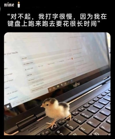 这是一张充满萌感的趣味图文，画面主体是一只毛茸茸的小雏鸡，正站在富士通品牌笔记本电脑的键盘上，爪子踩在按键上，神态呆萌平静；笔记本屏幕显示着带有表单的网页界面。图片上方配有拟人化的文案：“对不起，我打字很慢，因为我在键盘上跑来跑去要花很长时间”，将小鸡拟作打字的主体，用可爱的理由来解释打字速度慢，整体风格轻松有趣，常被用来以软萌的方式调侃自己或他人打字慢的情况。