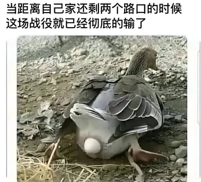 图片上方有黑色文字：'当距离自己家还剩两个路口的时候 这场战役就已经彻底的输了'，下方是一只鸭子趴在石子地上的照片，鸭子身体下方有一个蛋，整体姿态显得疲惫不堪。图片通过鸭子放弃挣扎的状态，幽默比喻人们在即将到家时（可能因工作、通勤等疲惫）感到身心俱疲、无力坚持的状态，带有自嘲和无奈的生活调侃意味。