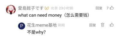 这是一张横版的社交媒体评论区截图，展示了两位用户的互动内容。上方用户“愛島館子です”标注所在地为北京，发布评论已23小时，其评论用错误的英文句式“what can need money”来表达中文“怎么需要钱”的疑问，该评论获得了7个点赞；下方账号“花生meme基地”刚刚发布回复，指出表达“怎么/为什么”的疑问应该使用疑问词“why?”，回复区域有点赞和删除按钮，显示出这是评论发布者视角的界面。