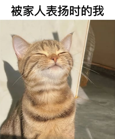 图片上方有黑色文字“被家人表扬时的我”，下方是一只橘色虎斑猫的特写。猫咪双眼紧闭，头部微微后仰，胡须自然舒展，表情显得十分满足和享受，仿佛正沉浸在被家人表扬的温馨氛围中。画面通过猫咪的可爱神态，生动形象地诠释了人们在受到家人肯定时内心的喜悦与幸福感。