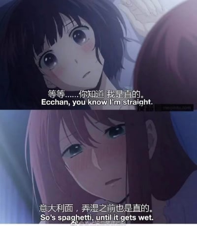 这是一张由两张动画截图拼接而成的玩梗图，上图黑发角色安乐冈花火红着脸，带着慌张的语气说道：“等等……你知道 我是直的。Ecchan, you know I’m straight.”；下图粉发角色绘鸠早苗则用戏谑的双关回应：“意大利面，弄湿之前也是直的。So’s spaghetti, until it gets wet.”。图中用意大利面遇水变弯的特性，玩了“性取向为直可以被改变”的双关梗，带有百合向的调侃意味，搞笑又有梗。
