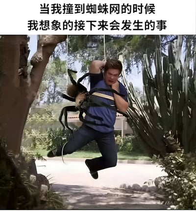 图片上方配有文字“当我撞到蜘蛛网的时候 我想象的接下来会发生的事”，下方是一张经过修改的照片。照片中一名穿着蓝色上衣的男子正惊恐地跳跃，背后有一只巨大的蜘蛛用腿缠绕着他，场景设置在有树木和仙人掌的户外环境中。图片通过夸张的手法，幽默地表现了人们撞到蜘蛛网后想象力过于丰富的有趣心理状态。