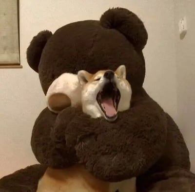 这是一张原始拍摄的静态单图，画面中一只真实的柴犬被一个大型深棕色泰迪熊玩偶环抱住，柴犬的脑袋从玩偶的手臂与胸口的空隙中露出，它眯着眼睛，张大嘴巴吐出舌头，看起来正处于打哈欠的状态，神态放松又带着慵懒感，整体画面氛围温馨治愈，充满了生活的趣味感，展现了宠物和玩具互动的可爱瞬间。