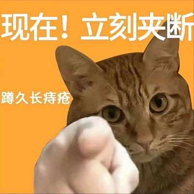 一张幽默风格的健康提醒图片，橙色背景上有一只表情惊讶的橘猫，它瞪大双眼直视镜头，前方有一只伸出的人手。图片上方有醒目的白色大字“现在！立刻夹断”，下方配有小字“蹲久长痔疮”，用夸张的语气提醒人们不要长时间蹲坐，以免引发健康问题。