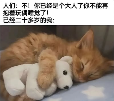 图片上半部分为文字内容：“人们：不！你已经是个大人了不能再抱着玩偶睡觉了！已经二十多岁的我：”，下半部分是一只橘色的猫正紧紧抱着一个白色的玩偶熊安详地睡觉。通过文字与猫咪抱玩偶睡觉的画面结合，幽默地展现了二十多岁的成年人虽然被社会期望“成熟”，但依然保留着抱着玩偶睡觉的习惯，形成了有趣的反差萌，引发共鸣。