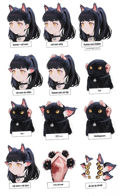 这是一张展示动漫风格猫耳娘角色不同耳朵形态的多图拼接作品，共有12个不同设计的头像排列成3行4列的网格。角色具有黑色长发、黄色眼睛和带吊坠的项圈，每个头像下方都有文字标签说明耳朵类型。

从左上角开始，设计包括："human + cat ears"（人类耳朵+猫耳并存）、"cat ears only"（只有猫耳）、"human ears hidden"（隐藏人类耳朵）并标注"Schrödinger's ears"（薛定谔的耳朵，玩梗薛定谔的猫理论）、"cat ears on sides"（猫耳在两侧）、"human ears on top"（人类耳朵在顶部）、多个"???"（未知形态）、"cat ears+cat ears"（猫耳+猫耳）、"I'm all ear"（全是耳朵，文字双关）、"do not be afraid"（不要害怕）以及标注为"Hellspawn"（地狱之子）的黑猫形态。

设计呈现了从半人半猫到完全猫化的渐进变化，融合了创意设计与幽默元素。