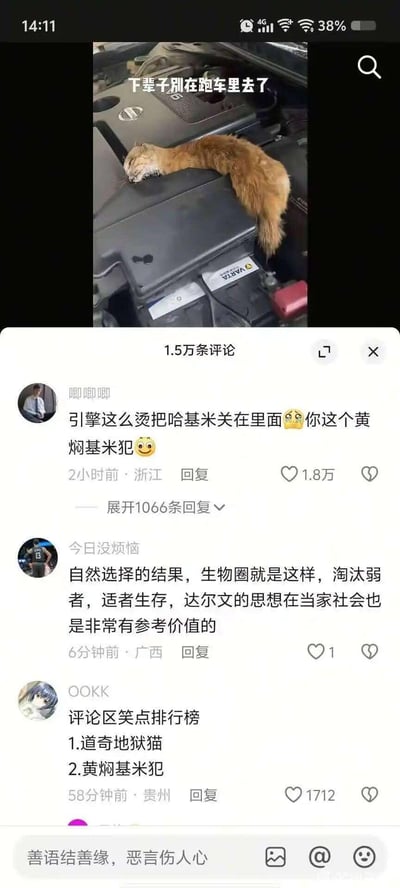 这是一张短视频平台的内容截图，上方画面是一只被网友称为“哈基米”的橘猫趴在发烫的汽车引擎舱内，已经失去生命迹象，配文为“下辈子别在跑车里去了”；下方是该内容的评论区，高赞评论将猫称为哈基米，结合引擎发烫的场景玩梗，调侃车主是“黄焖基米犯”，还有评论用达尔文适者生存的观点调侃，另有评论整理了评论区笑点排行榜。
谐音梗说明：“黄焖基米犯”是“黄焖鸡米饭”的谐音，结合小猫被引擎高温影响的场景创作的玩梗内容；“哈基米”是网络上对可爱小猫的流行称呼。