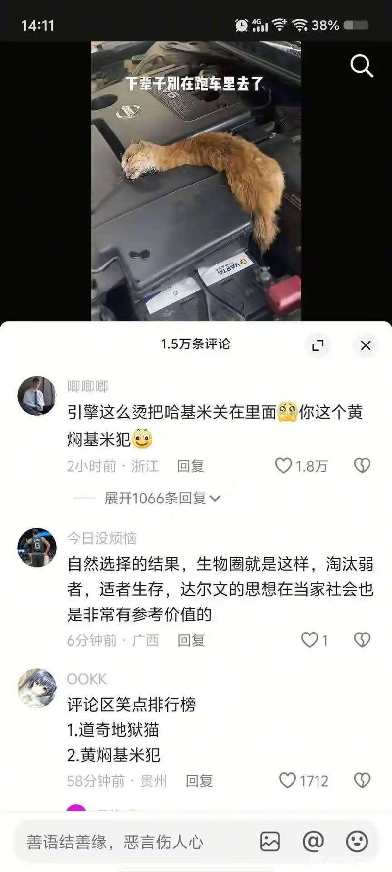 哈基米