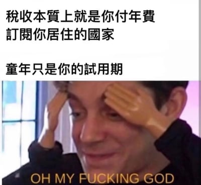 这张梗图上方有两行中文文字：'税收本质上就是你付年费订阅你居住的国家'和'童年只是你的试用期'，下方是一张男子双手扶额、表情震惊的照片，照片底部有英文文字'OH MY FUCKING GOD'。图片通过将生活感悟与夸张的反应表情结合，以幽默方式表达对税收和成长的看法。