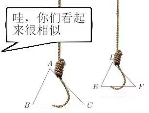 图中左右两侧各展示了一个悬挂的绞索，左侧绞索与下方绳圈构成△ABC，右侧绞索与绳圈构成△DEF，左侧配有对白气泡文字：“哇，你们看起来很相似”。这是一个玩数学概念“相似三角形”的双关梗图，用形状相似的两个绞索三角形呼应“相似”的数学定义，将严肃的知识点用生活化的物品进行调侃，制造出荒诞搞笑的效果。