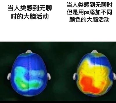 这是一张左右对比的搞笑梗图，左侧标题为“当人类感到无聊时的大脑活动”，配图是一个以蓝色和绿色为主的大脑扫描图像，颜色较为暗淡，暗示大脑活动低迷；右侧标题为“当人类感到无聊但是用ps添加不同颜色的大脑活动”，配图则是一个充满黄色、红色等鲜艳色彩的大脑扫描图像，显得异常活跃。图片通过夸张的颜色对比，幽默地讽刺了使用PS等工具可以虚假美化或夸大视觉效果的现象，暗示某些看似“科学”的图像可能经过人为加工。