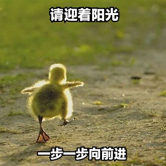 小黄鸭
