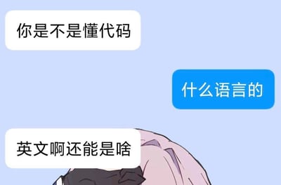 整张图采用模拟即时通讯软件聊天界面的形式，背景为浅蓝纯色，共展示三句对话：左上角白色气泡为提问方发言“你是不是懂代码”，右侧蓝色气泡为被提问方回复“什么语言的”，左下角白色气泡为提问方再次回答“英文啊还能是啥”，画面底部露出两个二次元动漫角色的头顶部分，其中一个为浅粉色头发，另一个为黑色头发。这张图的笑点在于：懂编程的人询问的“什么语言”是指Java、Python等编程语言种类，而不懂编程的提问者误以为询问的是代码使用的自然语言类型，二者认知错位形成搞笑效果。