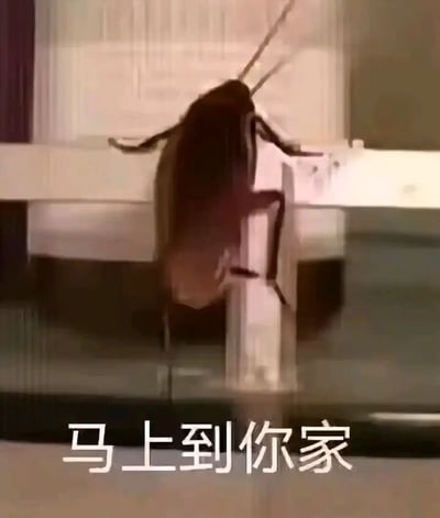图片是一只蟑螂正在爬行，配字“马上到你家”。这是一类恶搞表情包，常用来吓唬或调侃朋友，暗示有不速之客或小麻烦即将降临你的家。整体氛围很搞笑，但也有点小恐怖，非常适合在群聊或斗图场景里使用。没有明显双关或谐音，但通过夸张的画面制造出幽默和“惊悚”冲突感。