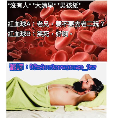 这是一张上下拼接的梗图。上半部分是红色背景下大量红血球的示意图，配文'*没有人* *大清早* *男孩纸*'，以及红血球A和B的对话：'老兄，要不要去老二玩？'和'笑死，好啊。'；下半部分是一位男性躺在床上，盖着绿色毯子，表情放松。图中存在双关语，'老二'在这里指男性生殖器官，通过红血球的拟人化对话制造幽默效果，暗示大清早男孩纸的生理反应。
