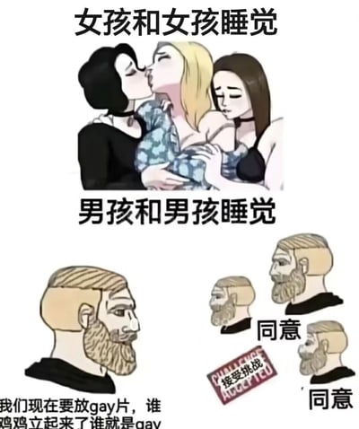 这是一张对比风格的梗图，分为上下两个部分。上半部分标题为“女孩和女孩睡觉”，描绘了三位女性角色，其中两位正在亲吻，第三位在旁边看着。下半部分标题为“男孩和男孩睡觉”，展示了几位男性角色，旁边有“同意”和“接受挑战”的文字元素。图片底部还有文字“我们现在要放gay片，谁鸡鸡立起来了谁就是gay”，通过夸张对比来制造搞笑效果。
