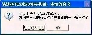 这是一张模仿Windows系统提示弹窗样式制作的恶搞P图，整体为带有蓝色边框的横屏电脑格式界面，左上角配有一个内含问号的灰色提示图标。弹窗顶部文字为“请选择YES或NO你会找到，生命的意义”，下方紧接着是一连串直击内心的提问：“你对生活失去信心了吗？想明白生命的意义吗？想真正的……活着吗？”，弹窗底部设置了“YES”和“NO”两个经典的系统按钮。图片以严肃正式的系统弹窗形式包装关于人生意义的深刻提问，通过强烈的反差感制造出恶搞趣味，同时也能引发观者对自身生活状态的思考。