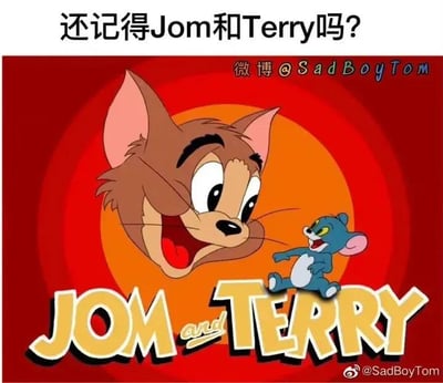 这是一张恶搞经典动画《猫和老鼠》的静态梗图，图中对原动画的两个核心角色进行了形象与名字的双重互换：原本的老鼠杰瑞（Jerry）的身体配上了猫汤姆（Tom）的脸，被命名为“Jom”；原本的猫汤姆的身体配上了老鼠杰瑞的脸，被命名为“Terry”。图的上方配有文字“还记得Jom和Terry吗？”，模仿人们回忆经典角色的语气，营造出反差感。
梗点说明：该梗图利用《猫和老鼠》的经典IP进行创作，将两个角色的名字拆分重组（Tom拆分为Jom，Jerry拆分为Terry），同时互换了他们的形象，形成猫身鼠脸、鼠身猫脸的荒诞效果，既勾起观众对原动画的熟悉感，又通过错位制造出意外的搞笑笑点。
