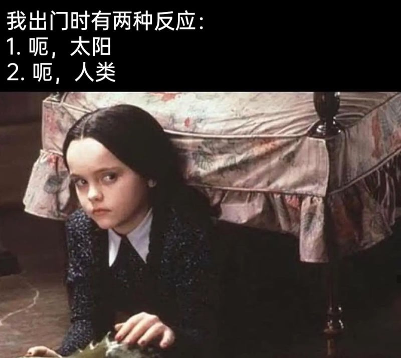 《亚当斯一家》
